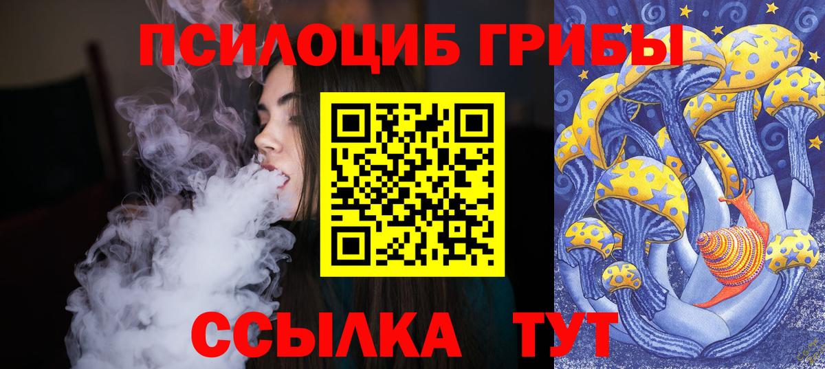 Краснокаменск  Псилоцибиновые грибы мухоморы  Псилоцибиновые грибы мухоморы  купить закладку  Вход с VPN 